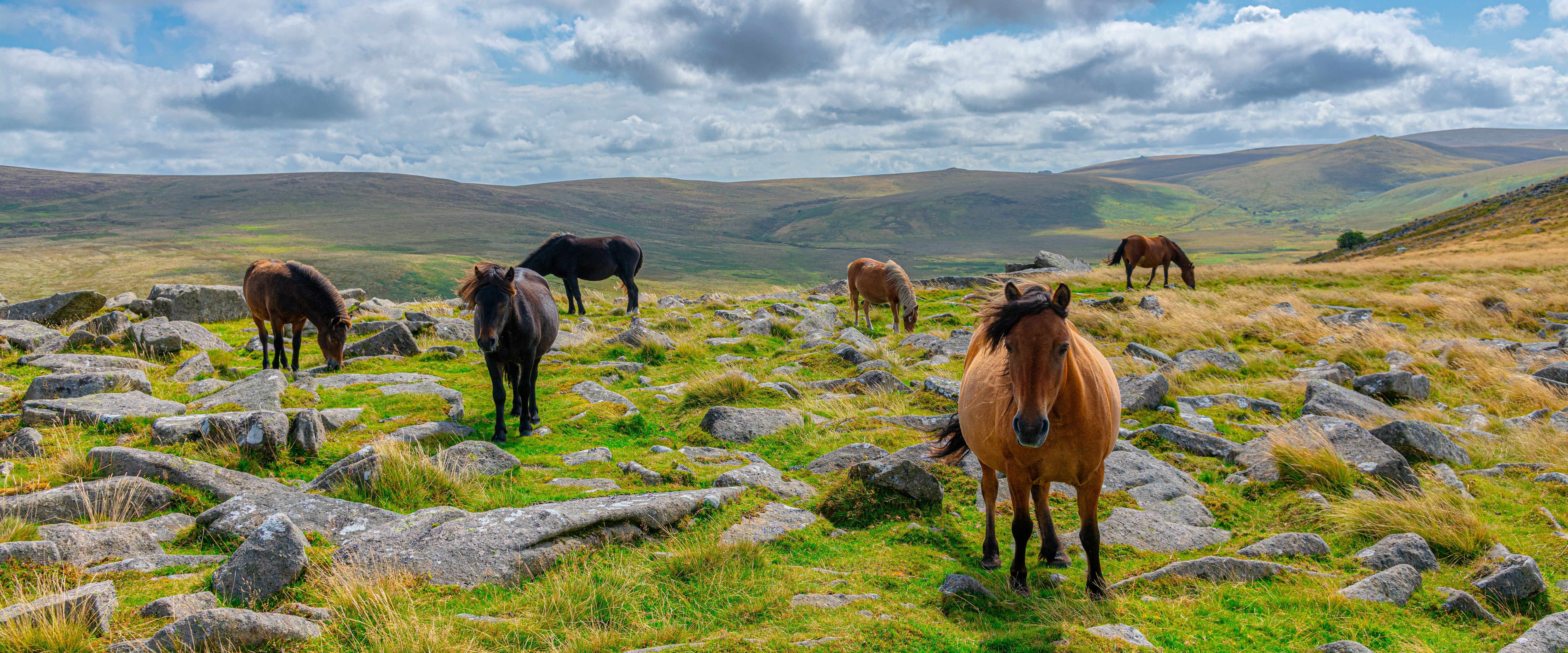 Devon and Cornwall: Coast to Countryside