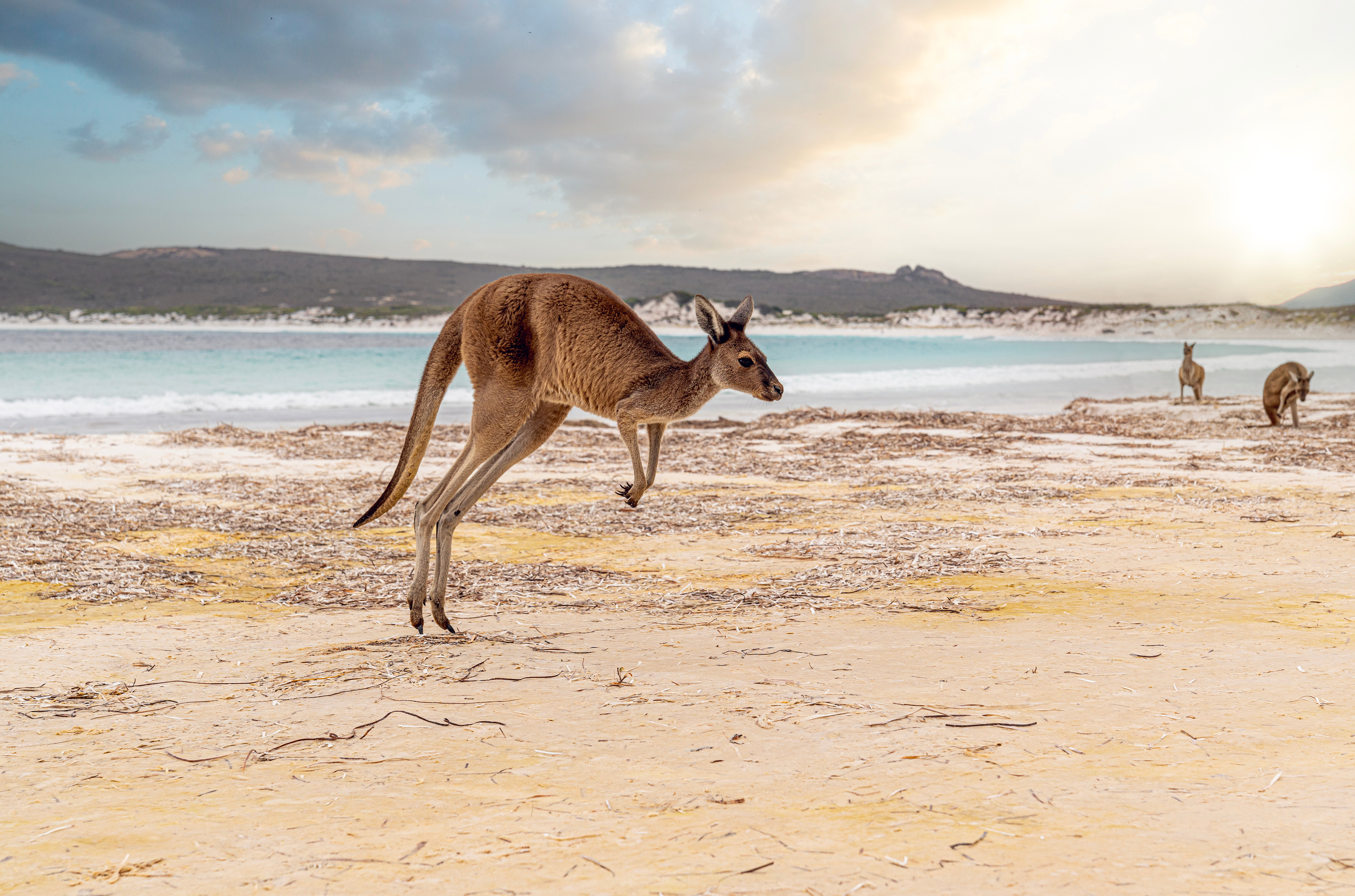 Melbourne to Benoa, Bali — Australia