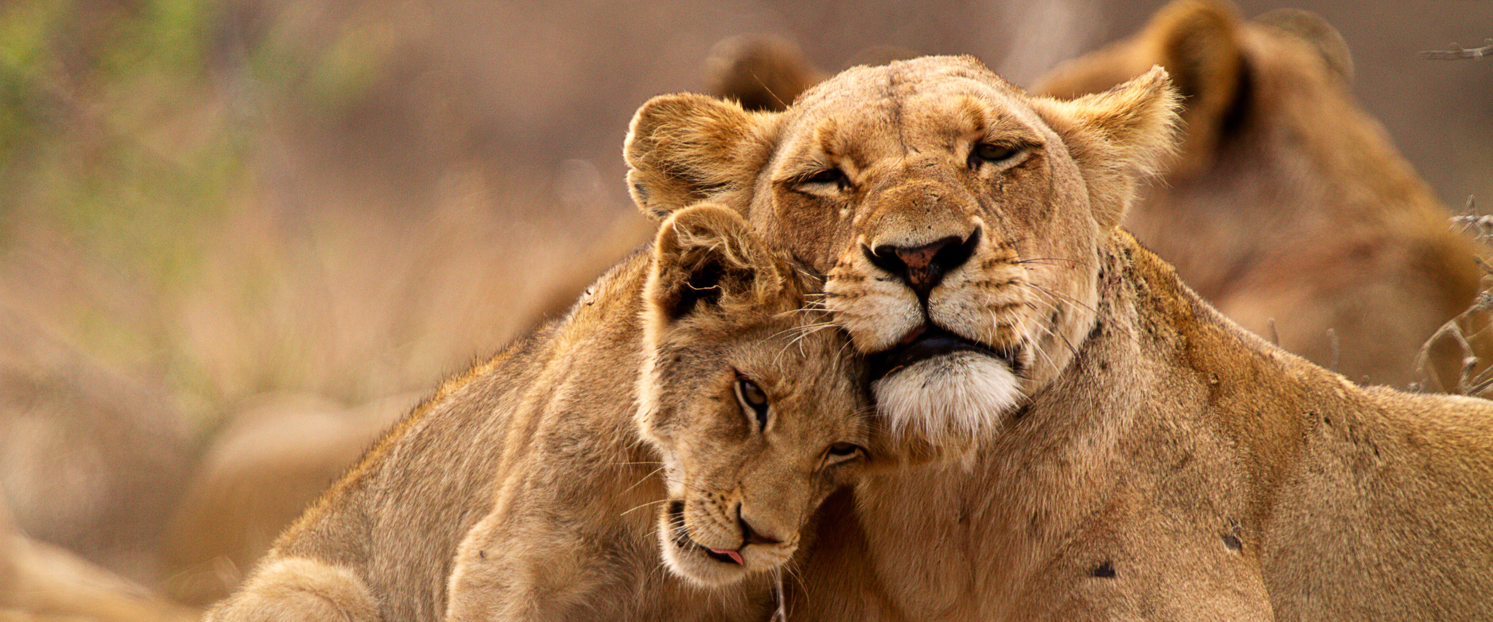 A Private Villa Journey Around South Africa