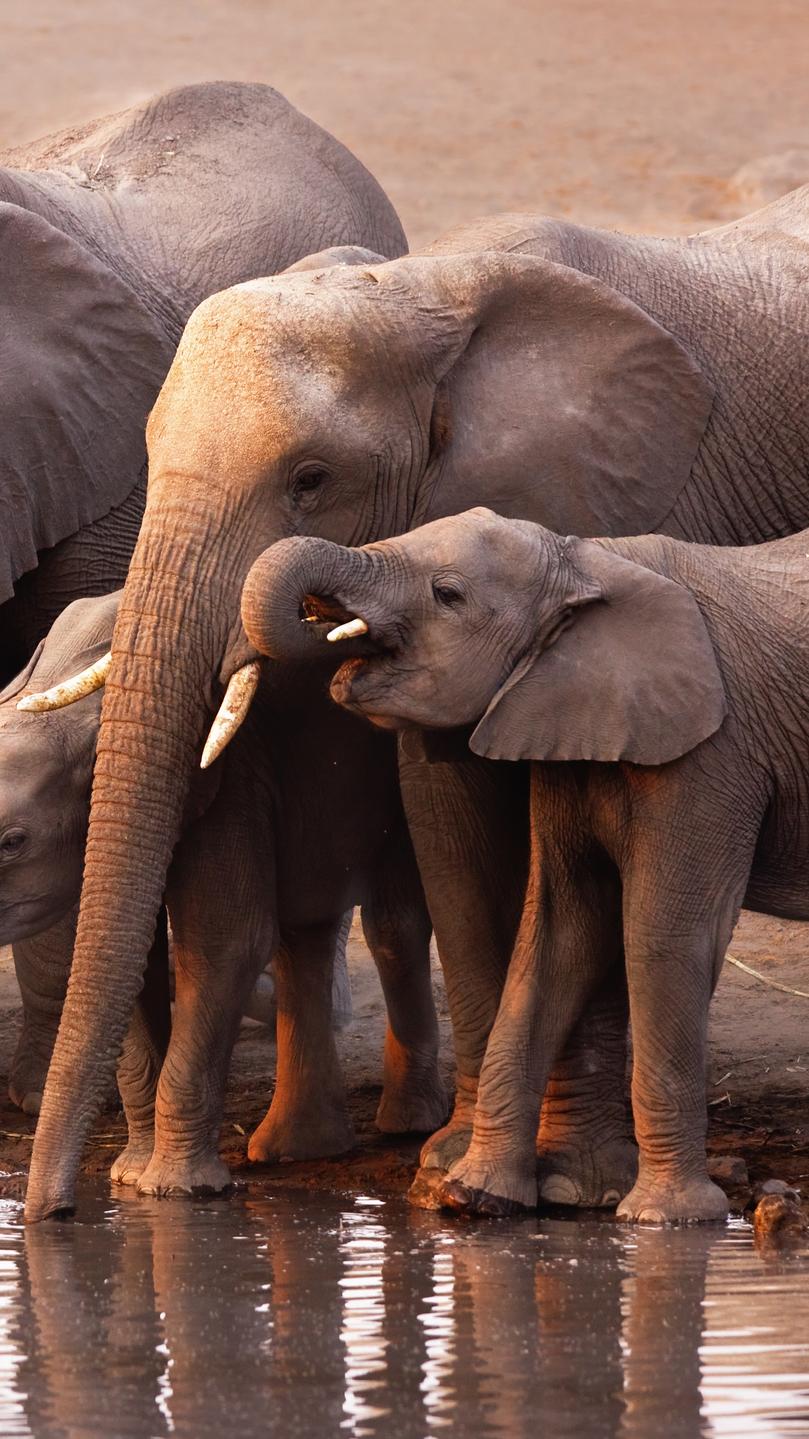 Ultimate Botswana Safari