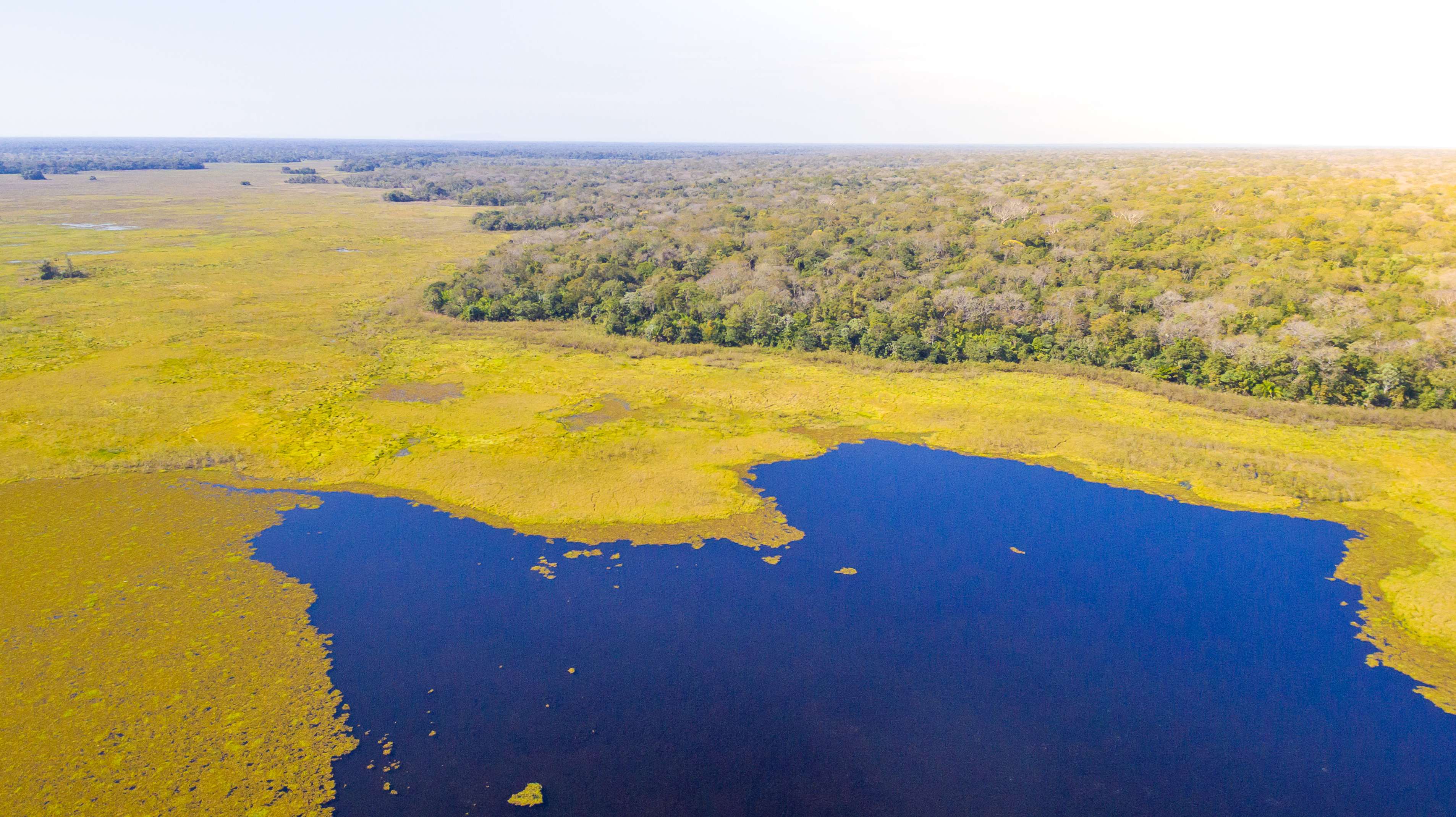 South America Wildlife Adventure by Private Jet