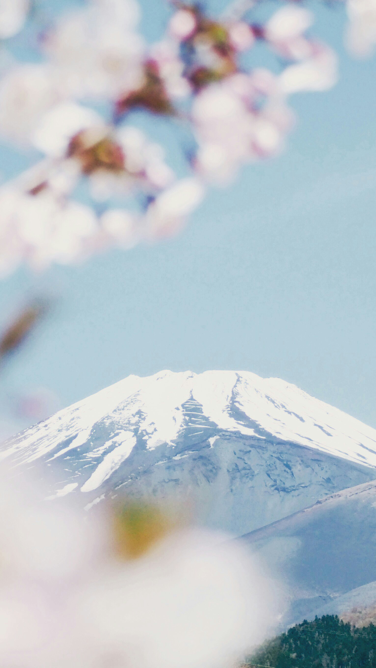 Classic Japan: A Private Journey
