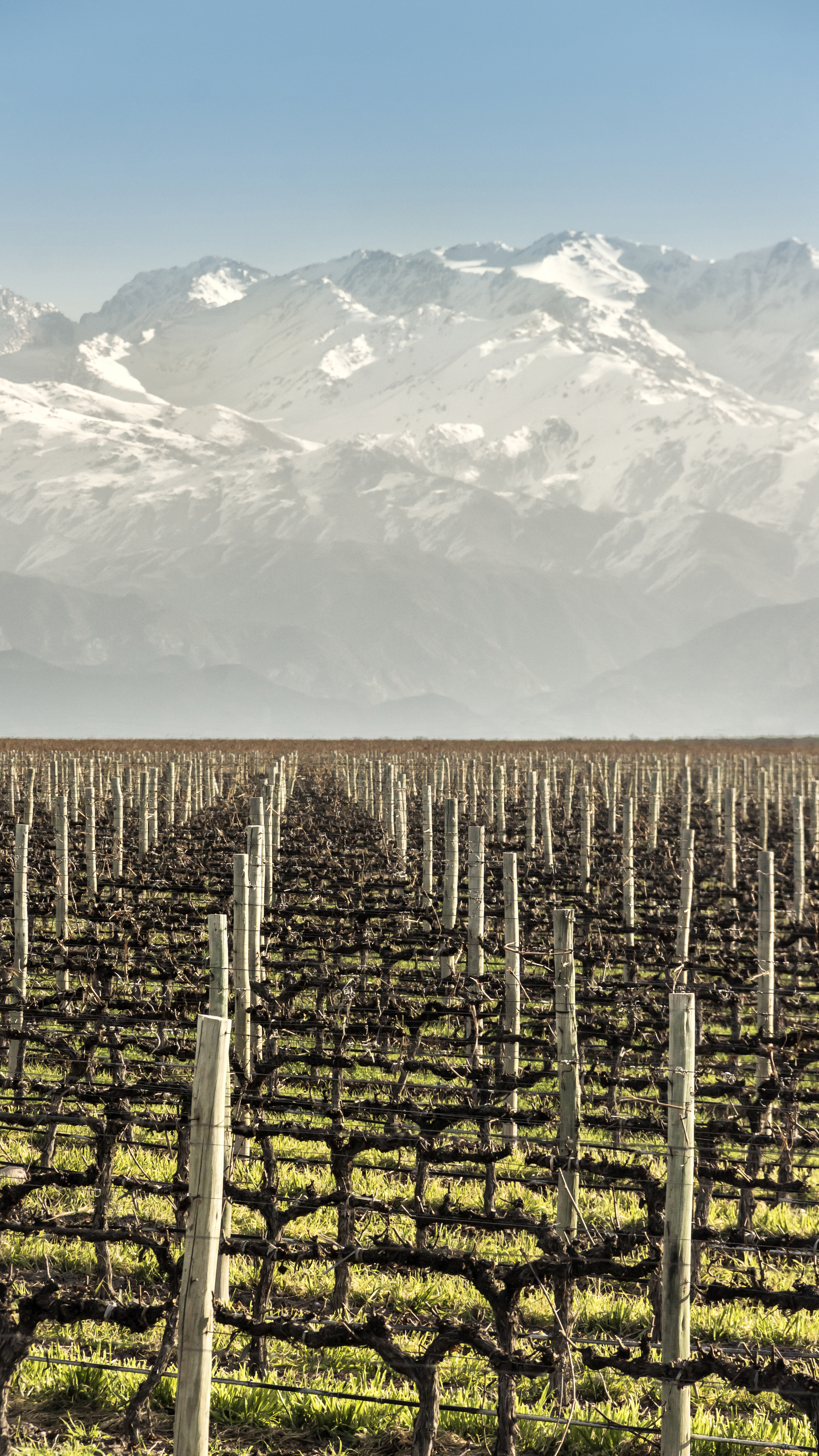 South American Adventure: Chile, Argentina and Brazil