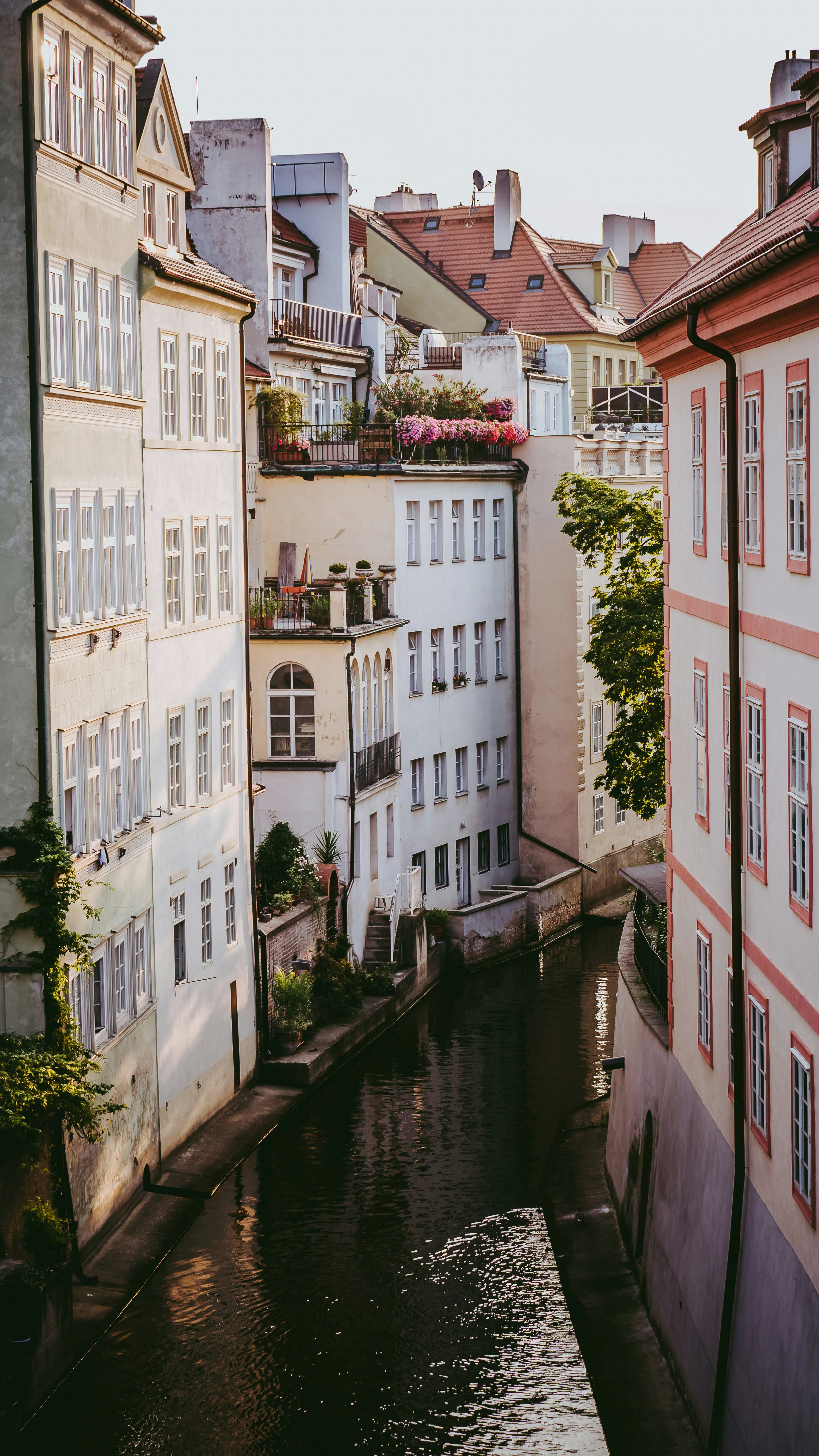 Cruise the Danube: Budapest, Vienna and Prague