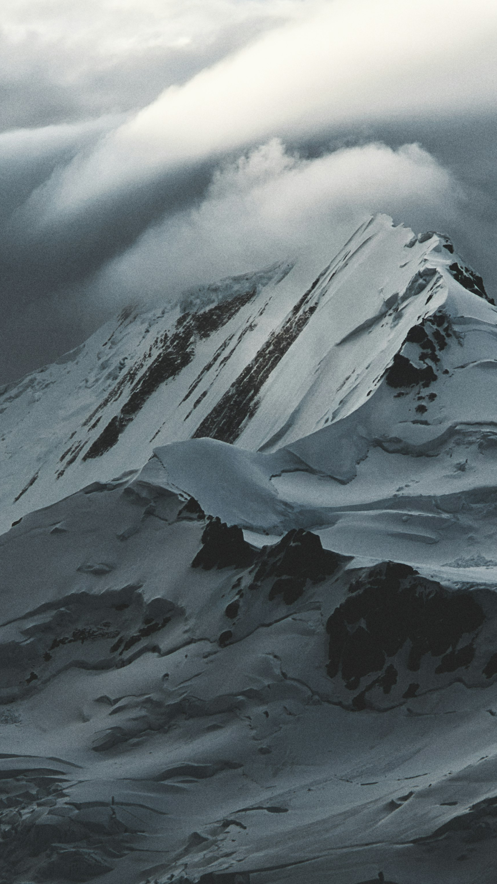 Antarctica, South Georgia & Falklands Expedition