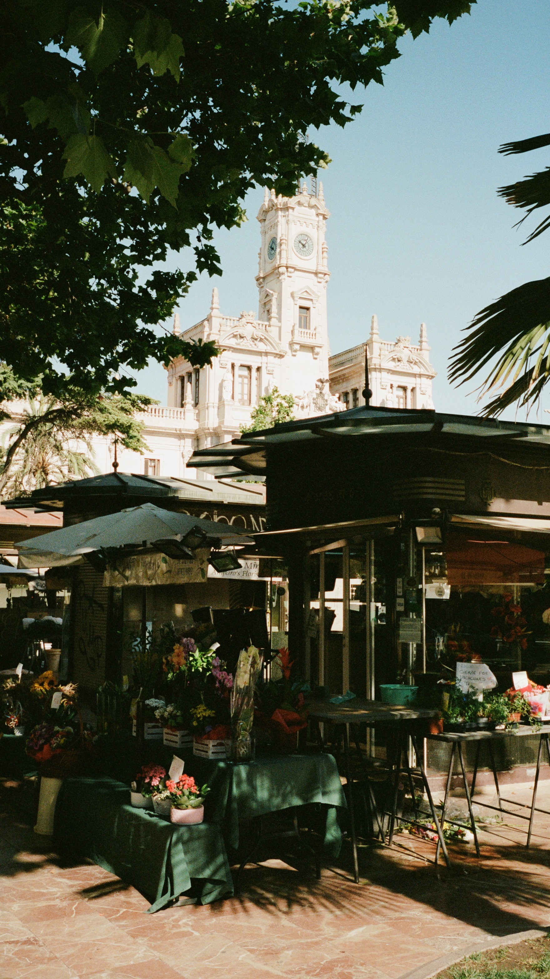 A&K x Crystal Cruises: The Insider's Mediterranean