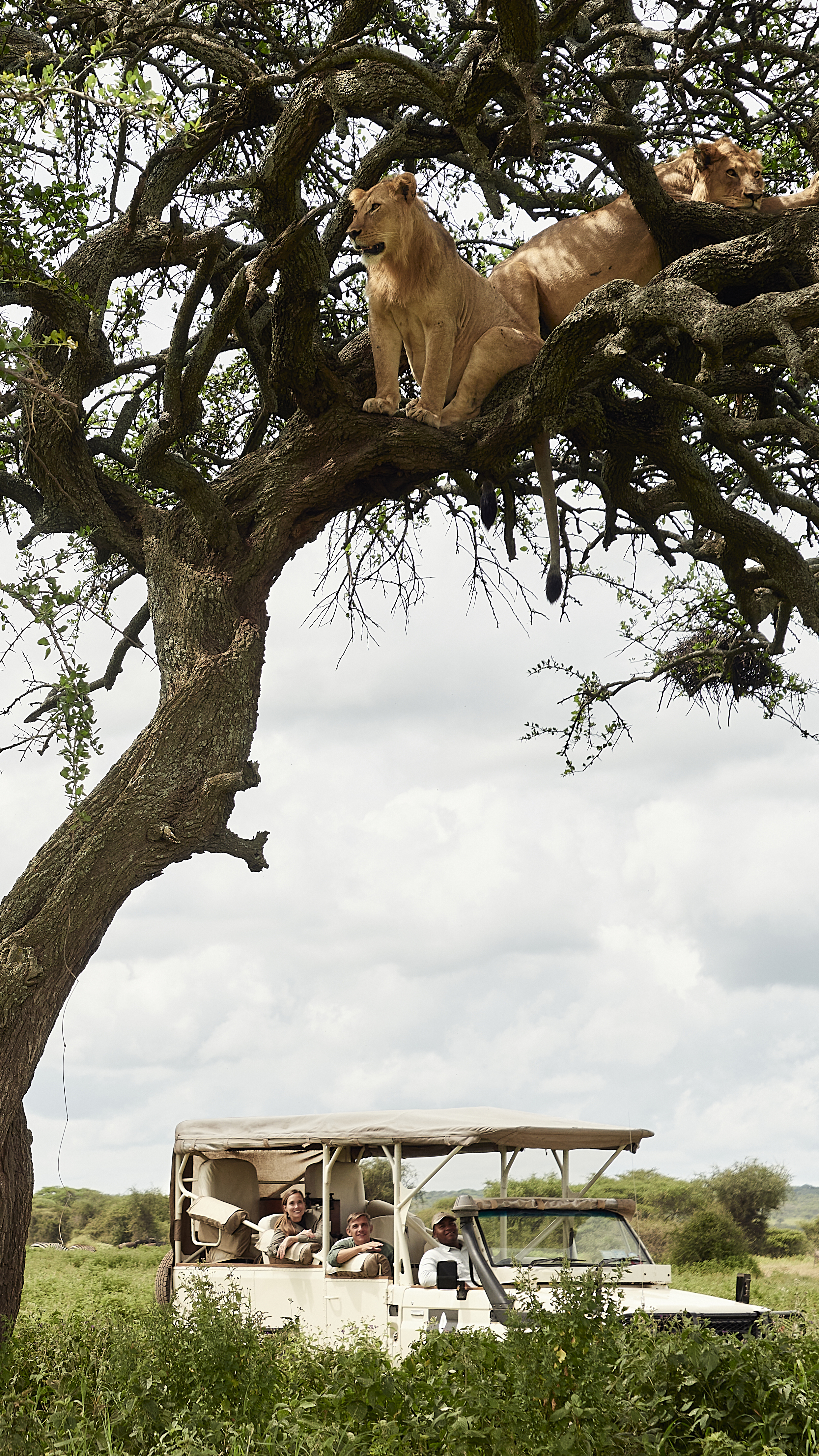 A&K Sanctuary Safari in Tanzania and Kenya