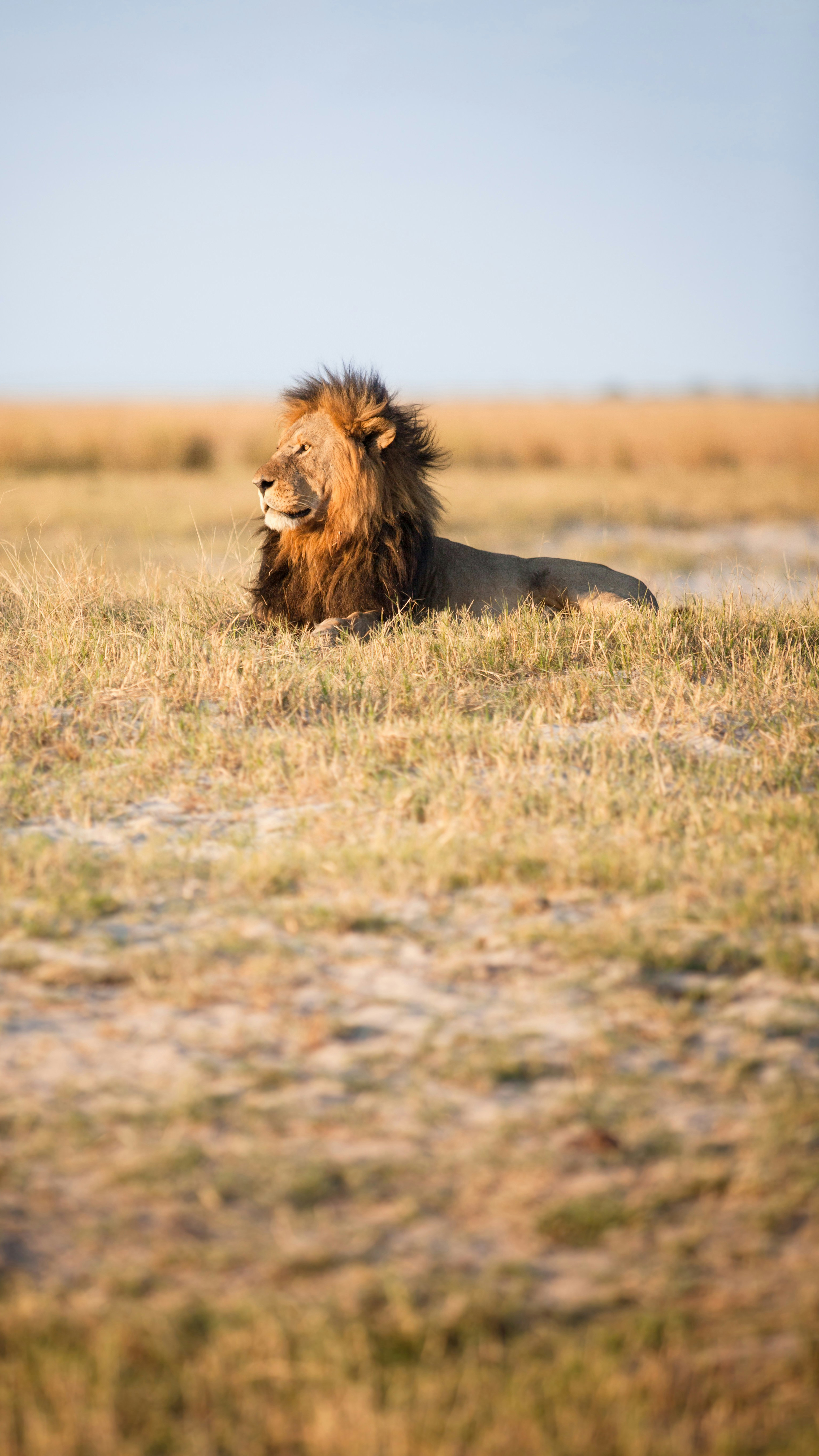A&K Sanctuary Safari in Zambia and Botswana