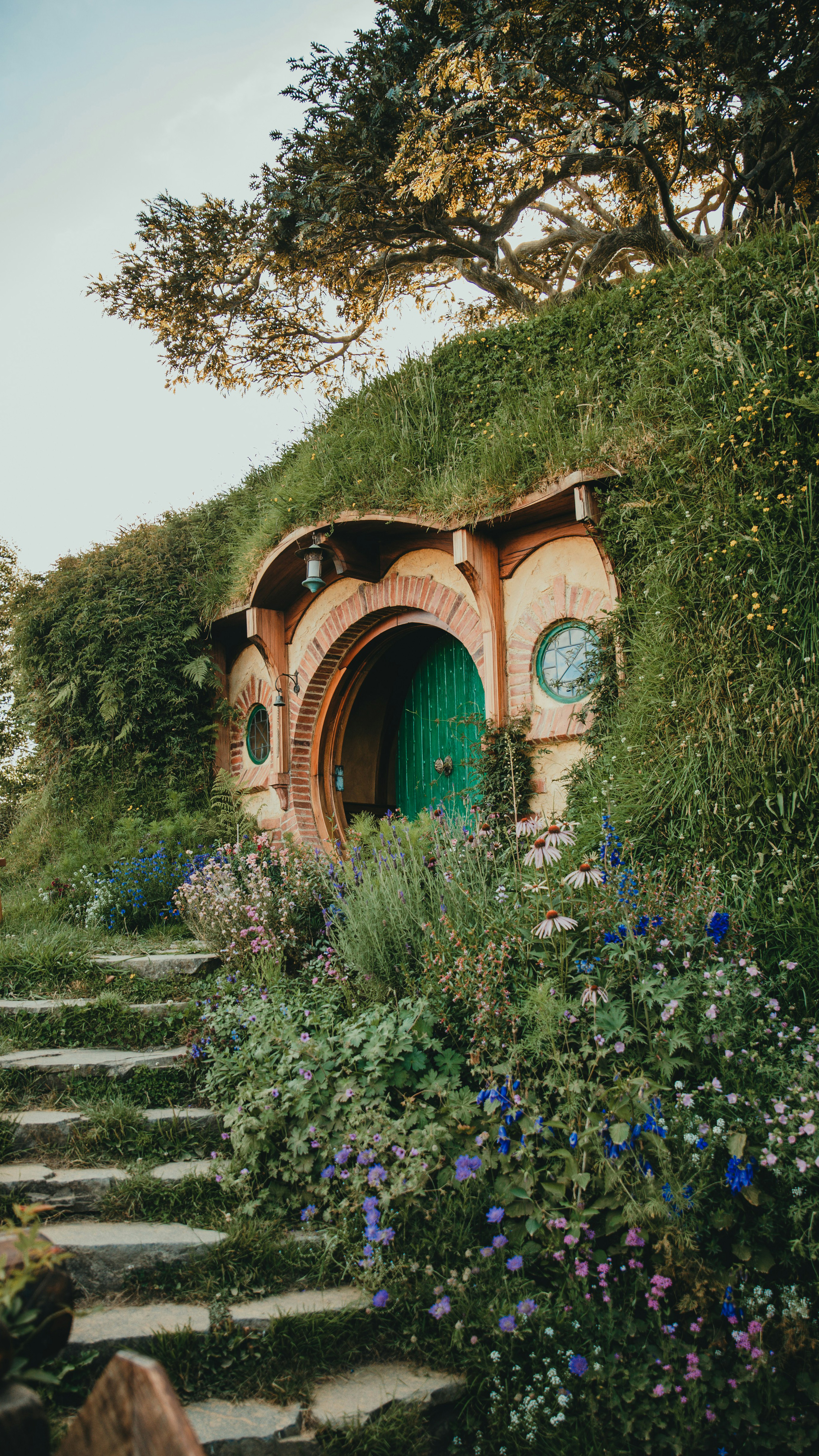 Wonders of New Zealand