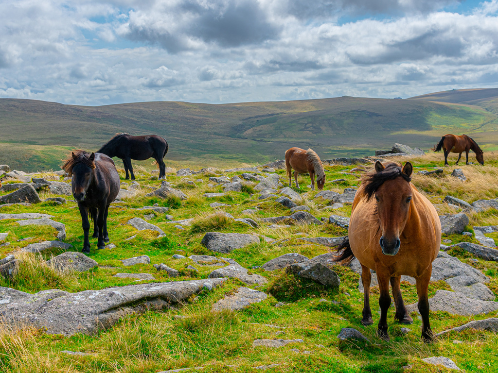 Devon and Cornwall: Coast to Countryside