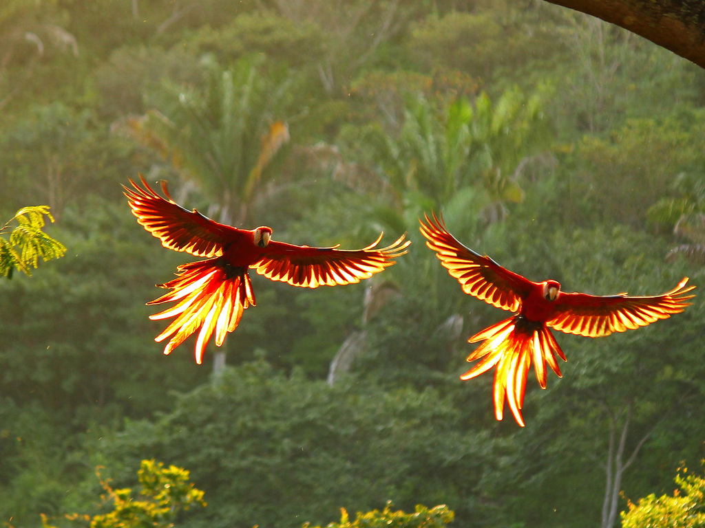 Costa Rica Family Adventure