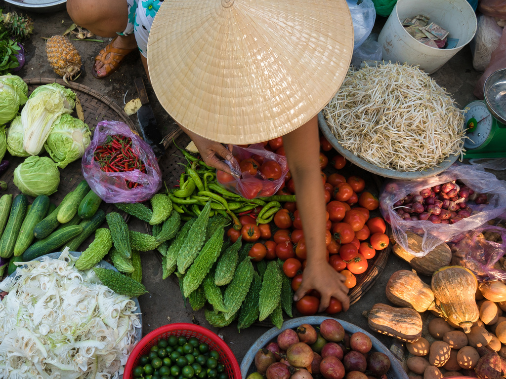 Highlights of Vietnam