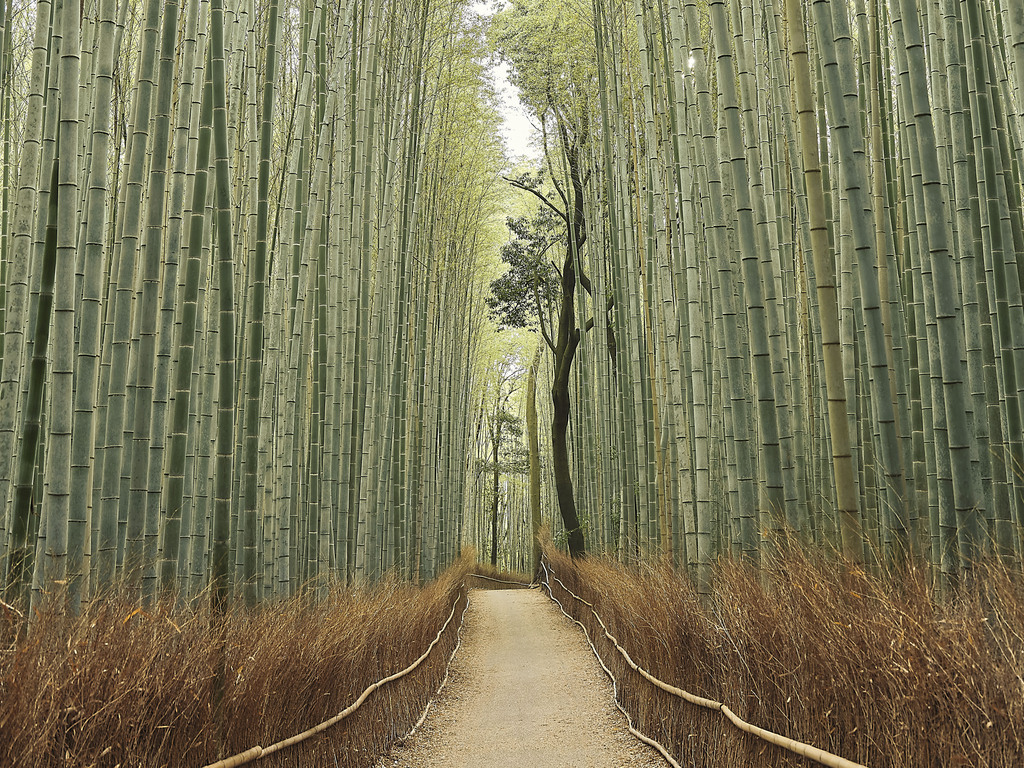 Off the Beaten Track in Japan