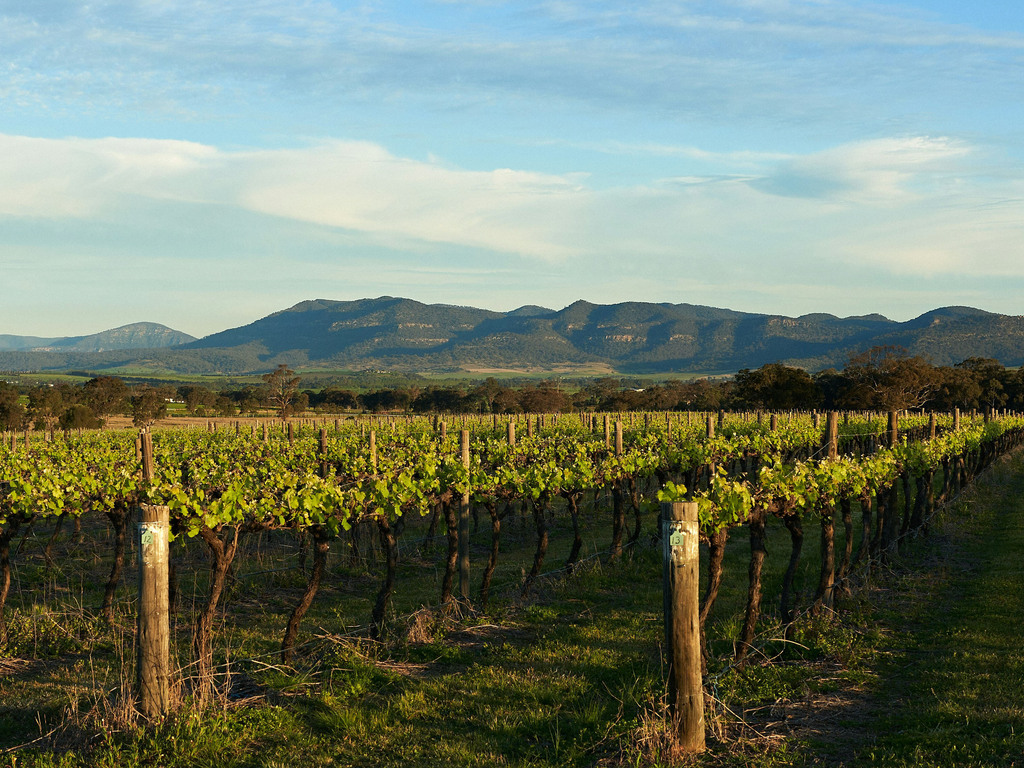 Australia Food and Wine Journey