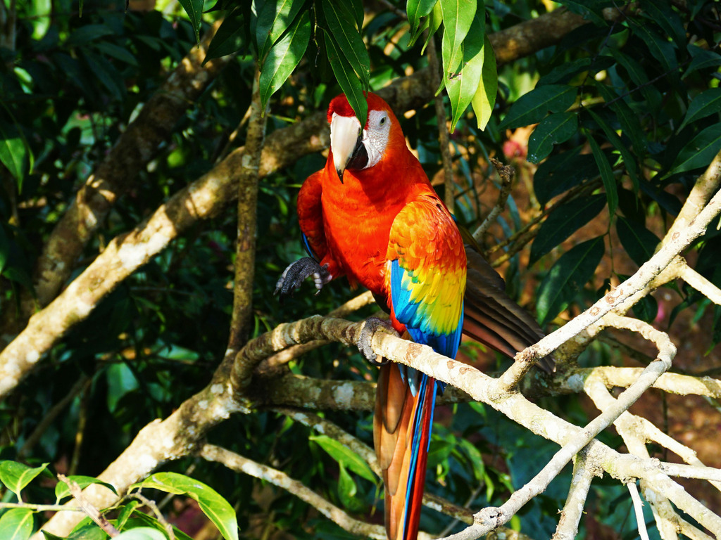Colombia: Jungle, Mountains and Beaches