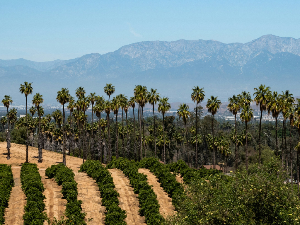 California: Sonoma and Napa