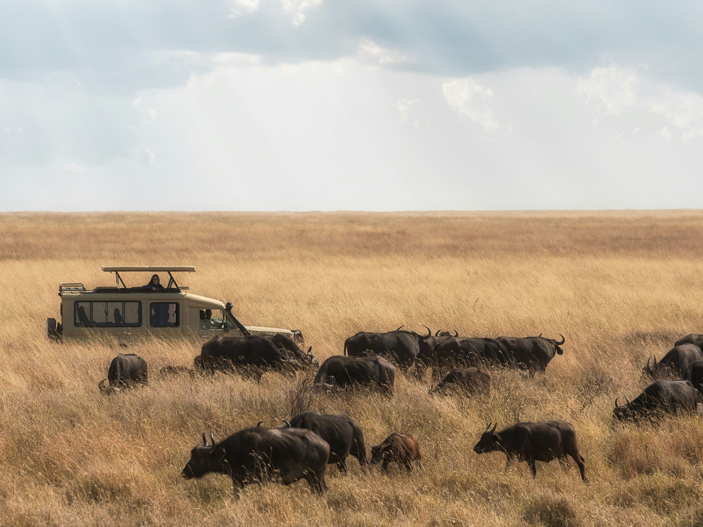 Tanzania: Epic Safaris and Zanzibar’s Beaches