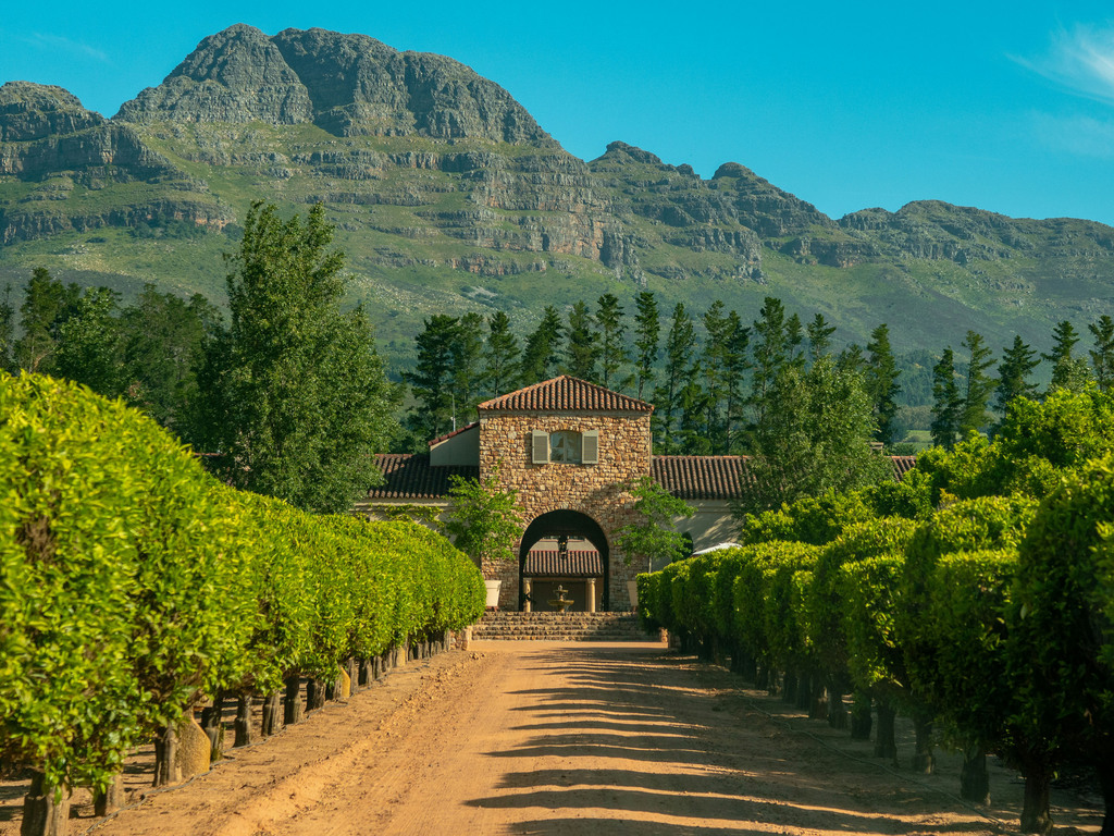 South Africa: Winelands and Wildlife