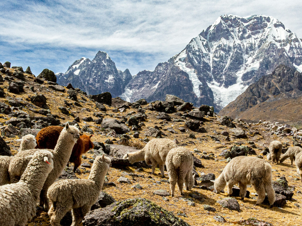 Peru Family Adventure