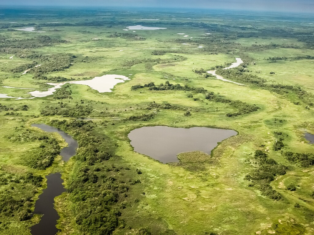 On the Trail of Brazil’s Wildlife
