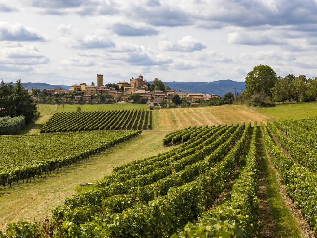 A Taste of France: Dijon, Lyon and Marseille