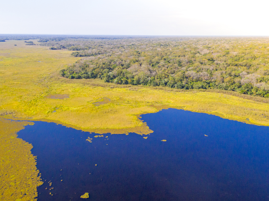 South America Wildlife Adventure by Private Jet