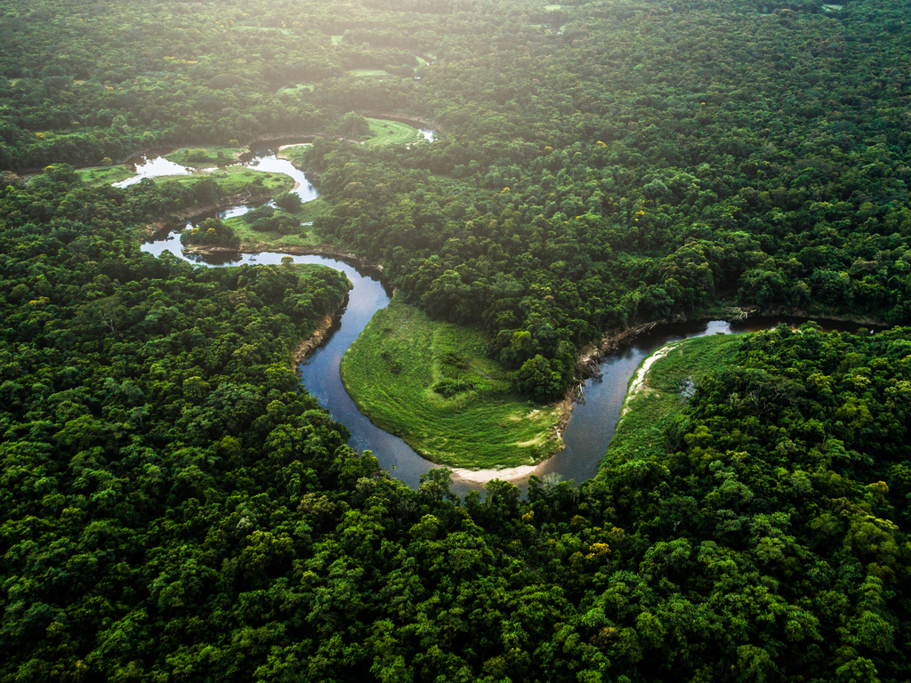 Brazil Wildlife Adventure: the Amazon and Pantanal