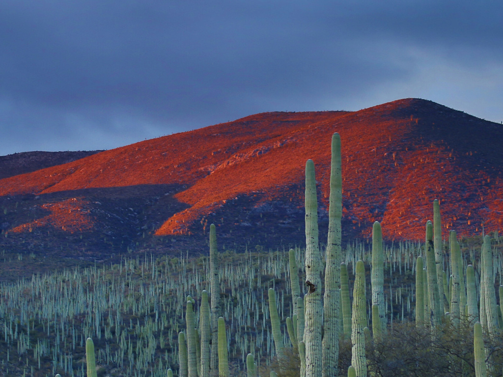 Secrets of Southern Mexico