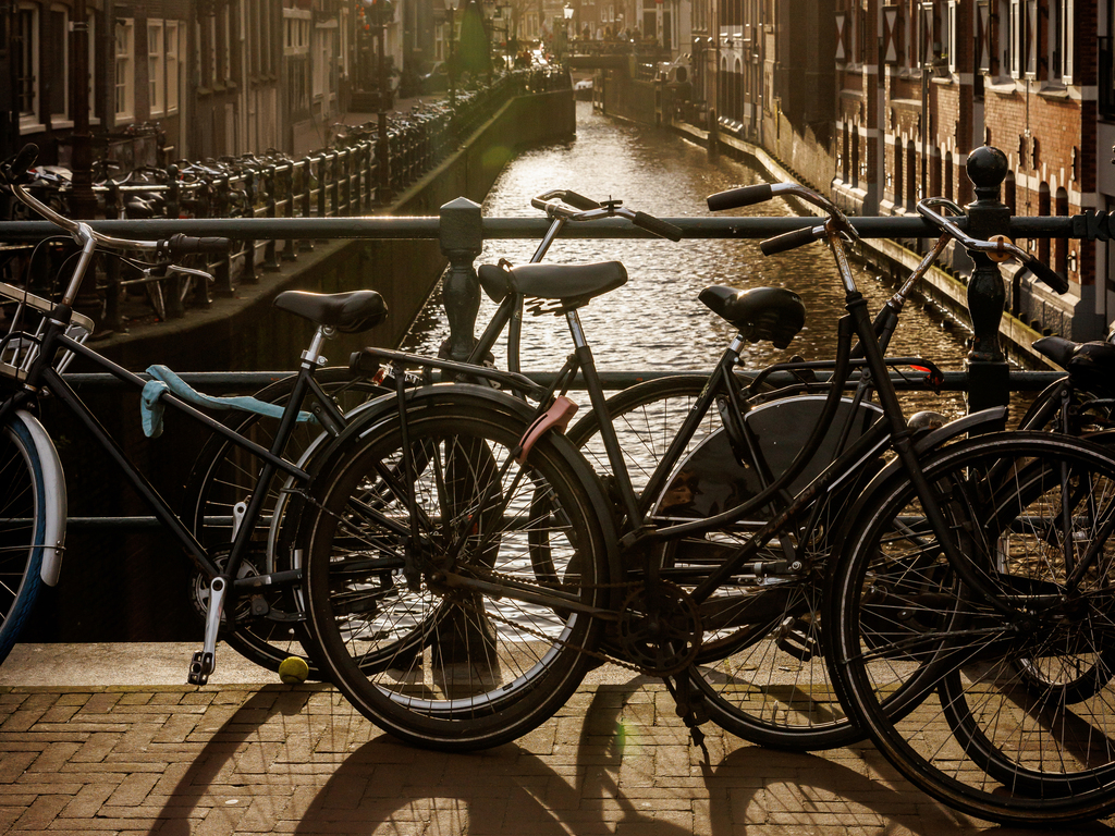 A Tulip Cruise Through the Netherlands and Belgium