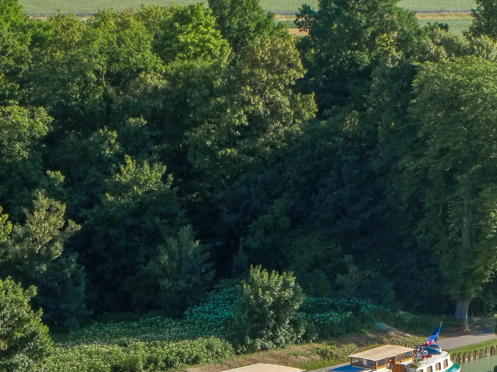 Saroche - Burgundy Canal