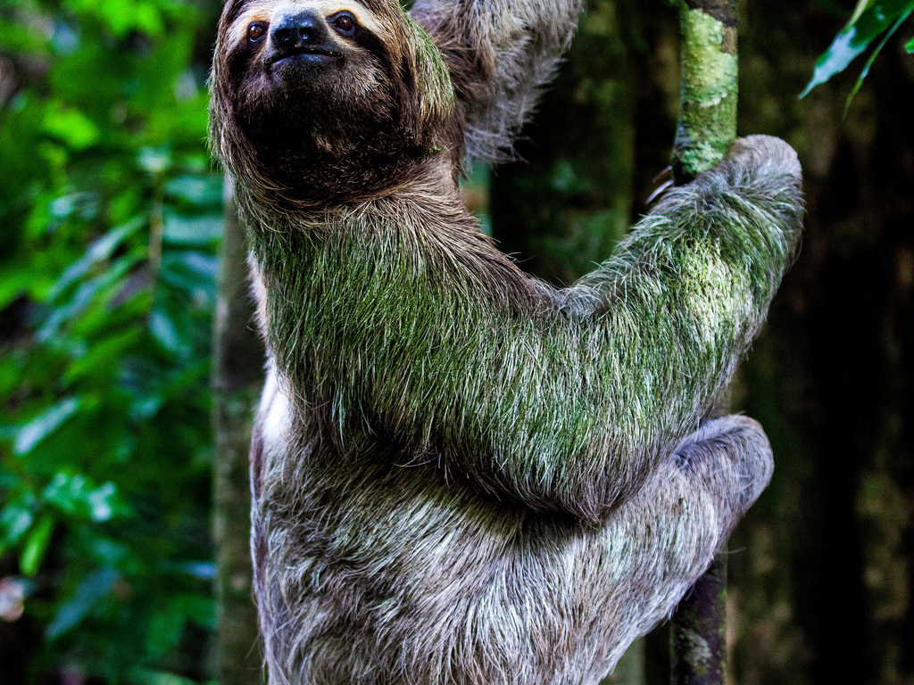 Cruising and Wildlife in Costa Rica