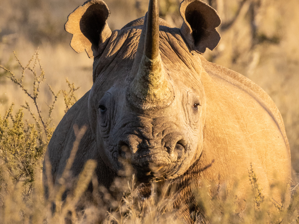 Family Adventure in Southern Africa