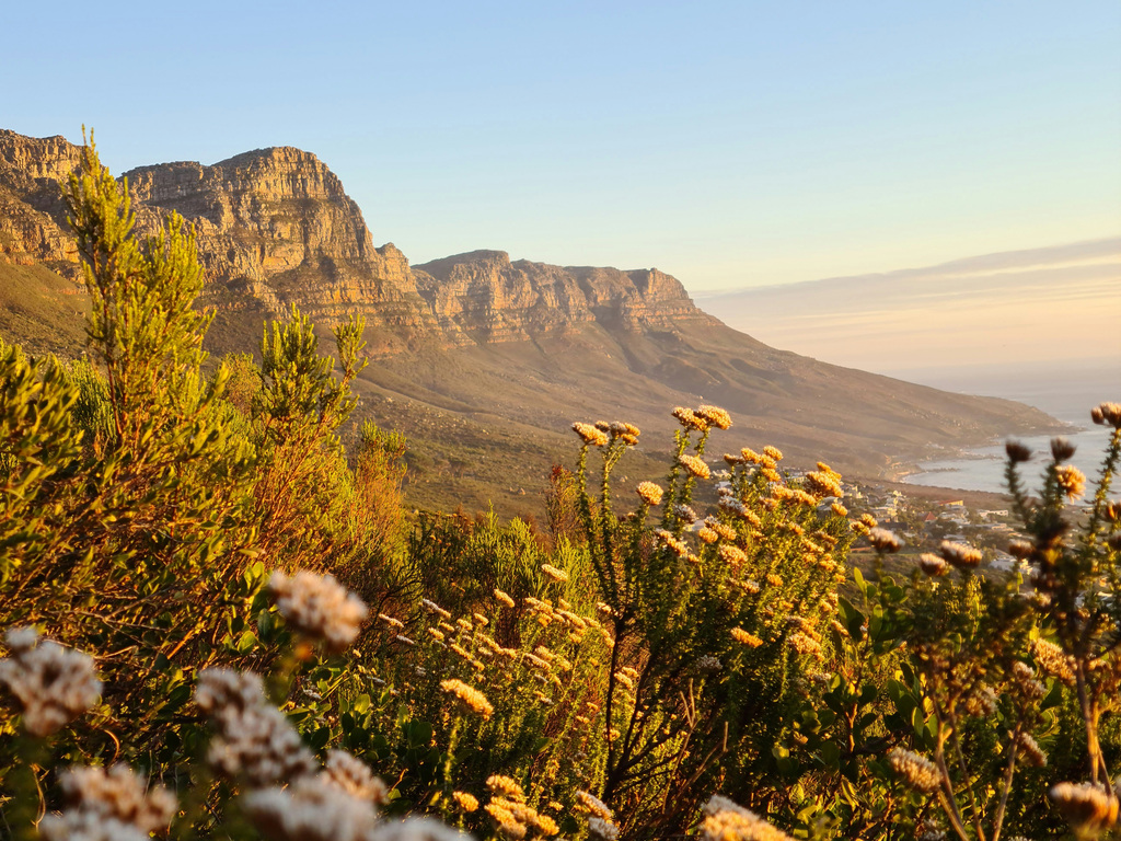 Ultimate South Africa Adventure