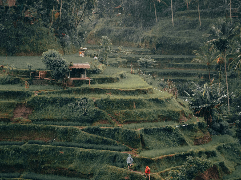 Singapore to Bali: Malaysia by Luxury Rail