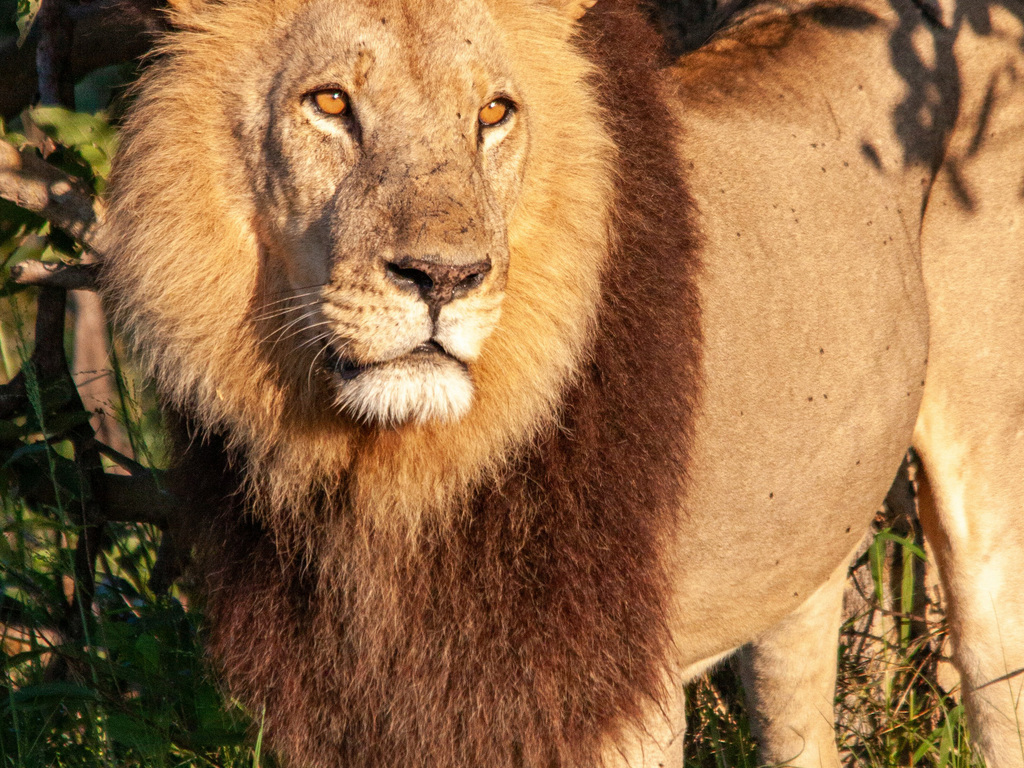 Southern Africa by Private Air